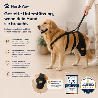 HipAssist™ - Mehr Mobilität für deinen Hund