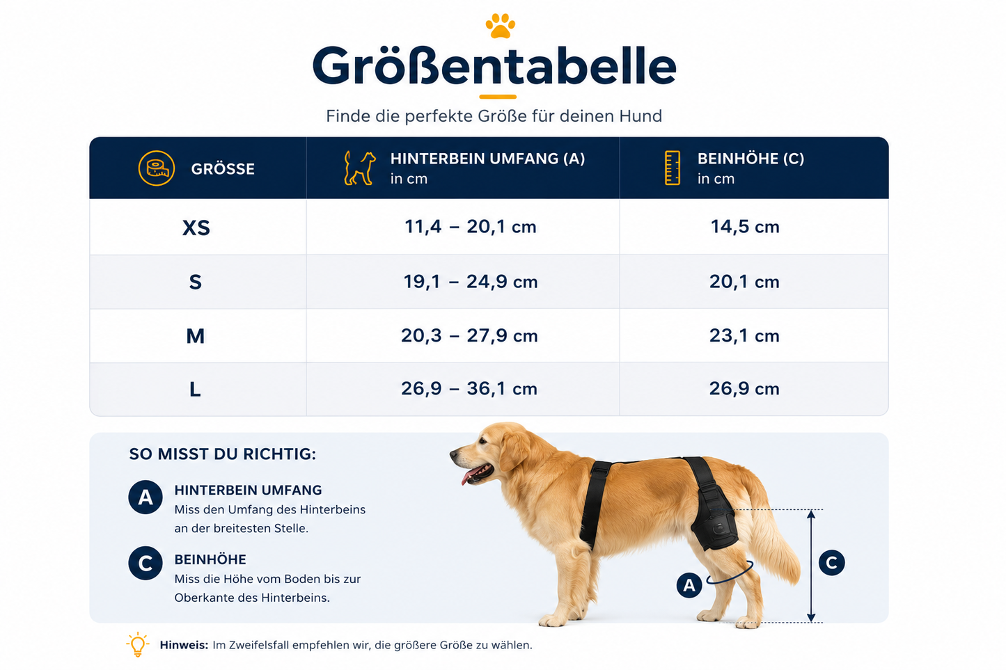 HipAssist™ - Mehr Mobilität für deinen Hund
