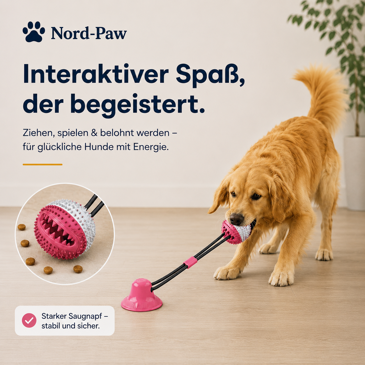 BusyBall™ - Spielen. Ziehen. Belohnen.