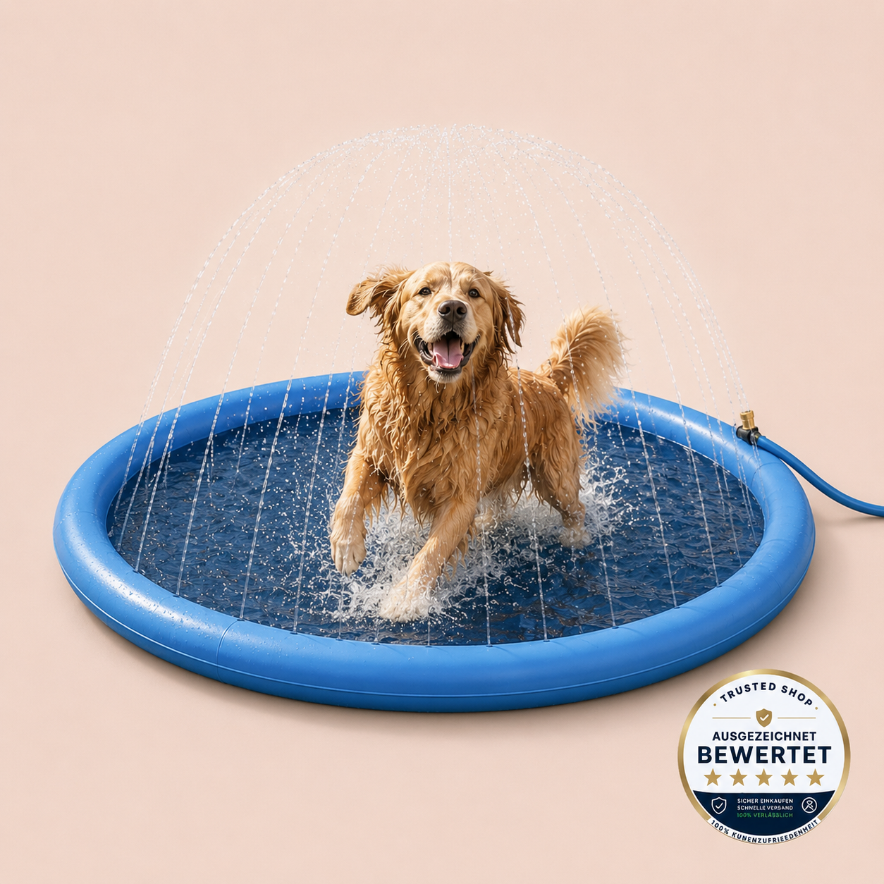 DogSplasher™ - Hundepool