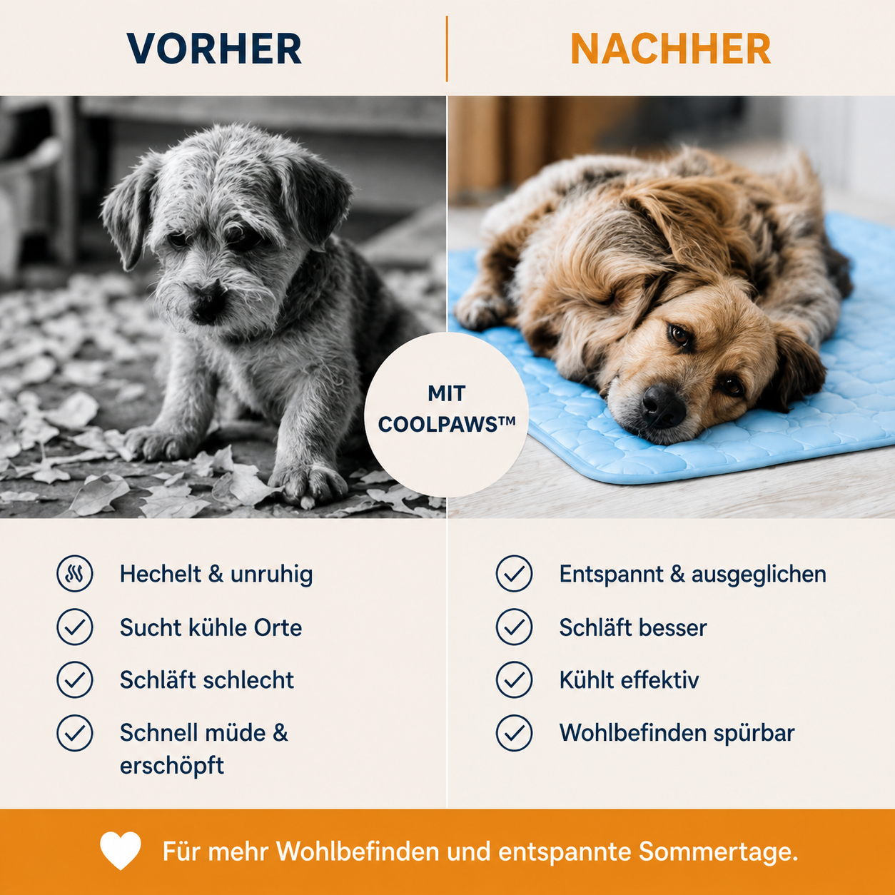 CoolPaws™ Kühlmatte für Hunde